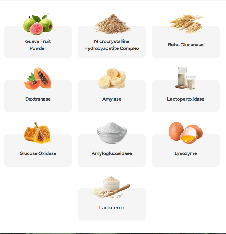 Synadentix ingredients hydroxyapatite lactoferrin enzyme blend